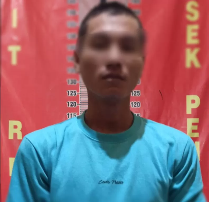 Pria Pencuri Buah Kelapa Sawit Diamankan: Aksi Kejahatan Berakhir di Tangan Tim Srigala Polsek Penukal Abab